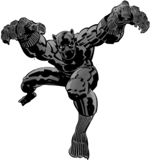 Black Panther (character)